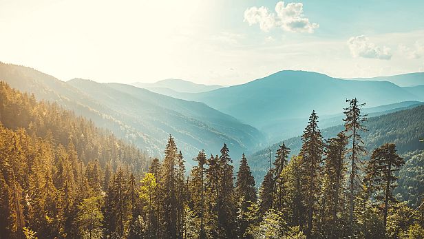 Buy Nature Escapes 4 CE