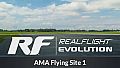 RealFlight Evolution - AMA Flying Site 1
