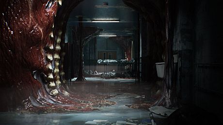 Oxide - Full Board Pack