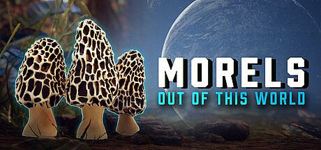 Morels: Out of this World