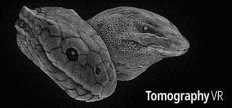 Tomography VR Game