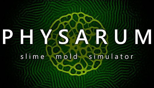 PHYSARUM: Slime Mold Simulator