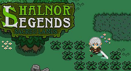 Shalnor Legends: Sacred Lands Game