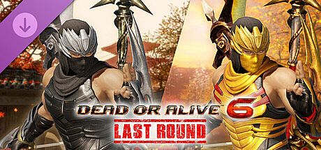 Morphing Ninja Costume - Hayabusa DLC