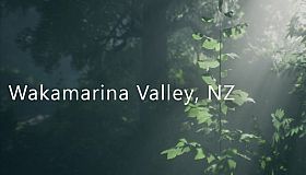 Wakamarina Valley, New Zealand