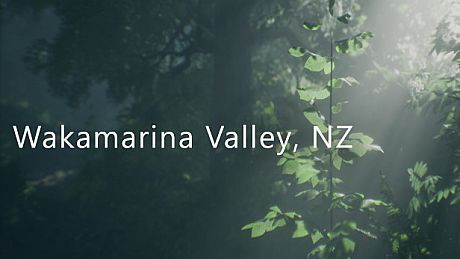 Wakamarina Valley, New Zealand Game