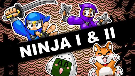 Ninja I & II Game