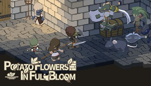 Potato Flowers in Full Bloom