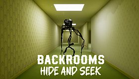 Backrooms Hide And Seek