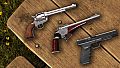 theHunter Call of the Wild - Assorted Sidearms Pack