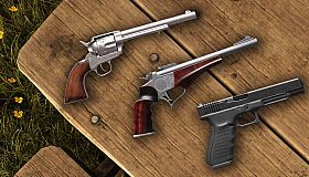 theHunter Call of the Wild - Assorted Sidearms Pack