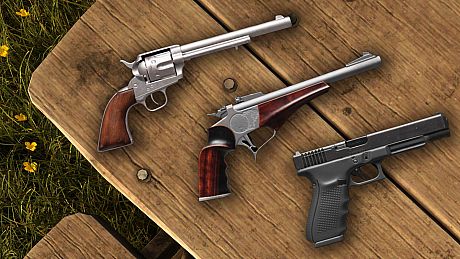 theHunter Call of the Wild - Assorted Sidearms Pack Bundle