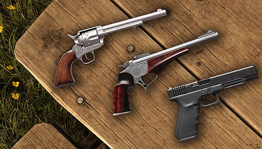 theHunter Call of the Wild - Assorted Sidearms Pack