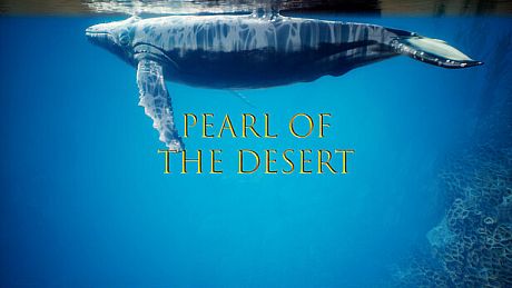 Pearl of the Desert Game