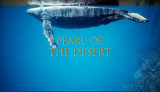 Pearl of the Desert