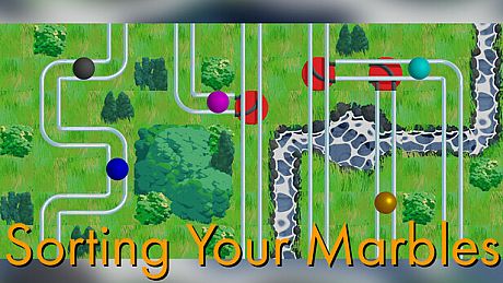 Sorting Your Marbles Game