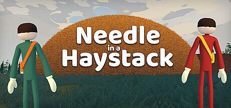 Needle in a Haystack