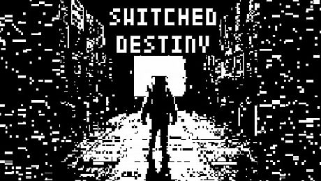 Switched Destiny Game