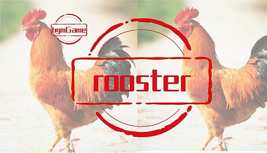 hgmGame-rooster