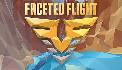Faceted Flight