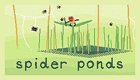 spider ponds
