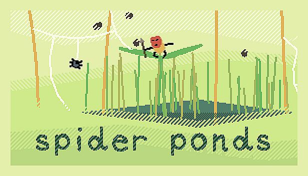 Buy spider ponds