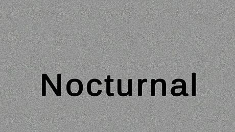 Nocturnal Game