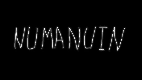 NUMANUIN Game