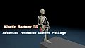 Kinetic Anatomy 3D - Advanced Animation Scenes Package