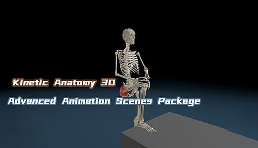 Kinetic Anatomy 3D - Advanced Animation Scenes Package