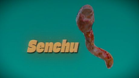 Senchu/線虫 Game