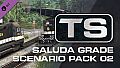 Train Simulator: Saluda Grade Scenario Pack 02
