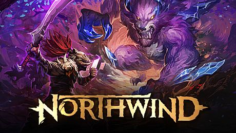Northwind Game