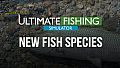 Ultimate Fishing Simulator - New Fish Species