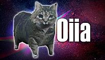 Acheter oiia PC