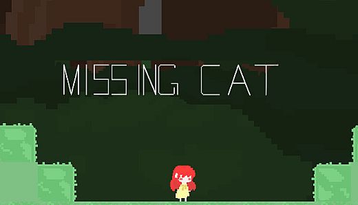Missing Cat