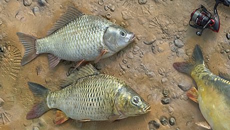 Fishing Adventure Game