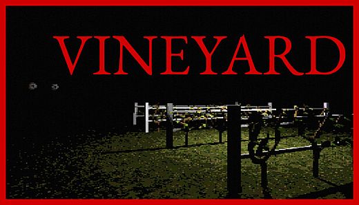 Vineyard