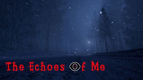 The Echoes of Me Game