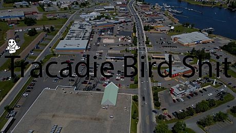 Tracadie Bird Shit Game