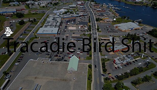 Buy Tracadie Bird Shit