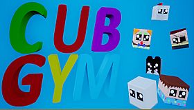 Cub Gym