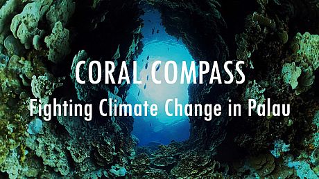 Coral Compass: Fighting Climate Change in Palau Game