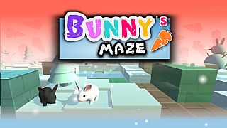 Bunny's Maze Game