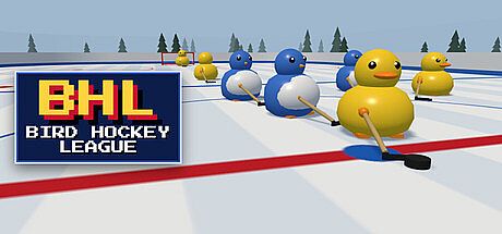 Bird Hockey League Game