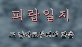 피랍 일지 - 그 남자로부터의 탈출