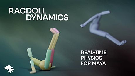 Ragdoll Dynamics Game