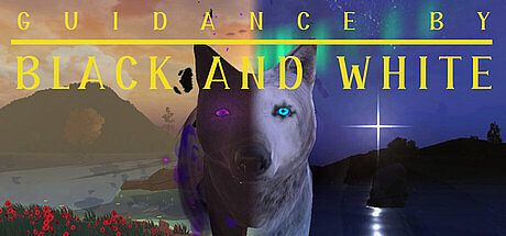 Guidance by Black and White Game