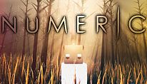 Kup NUMERIC na PC
