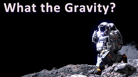 What The Gravity Game